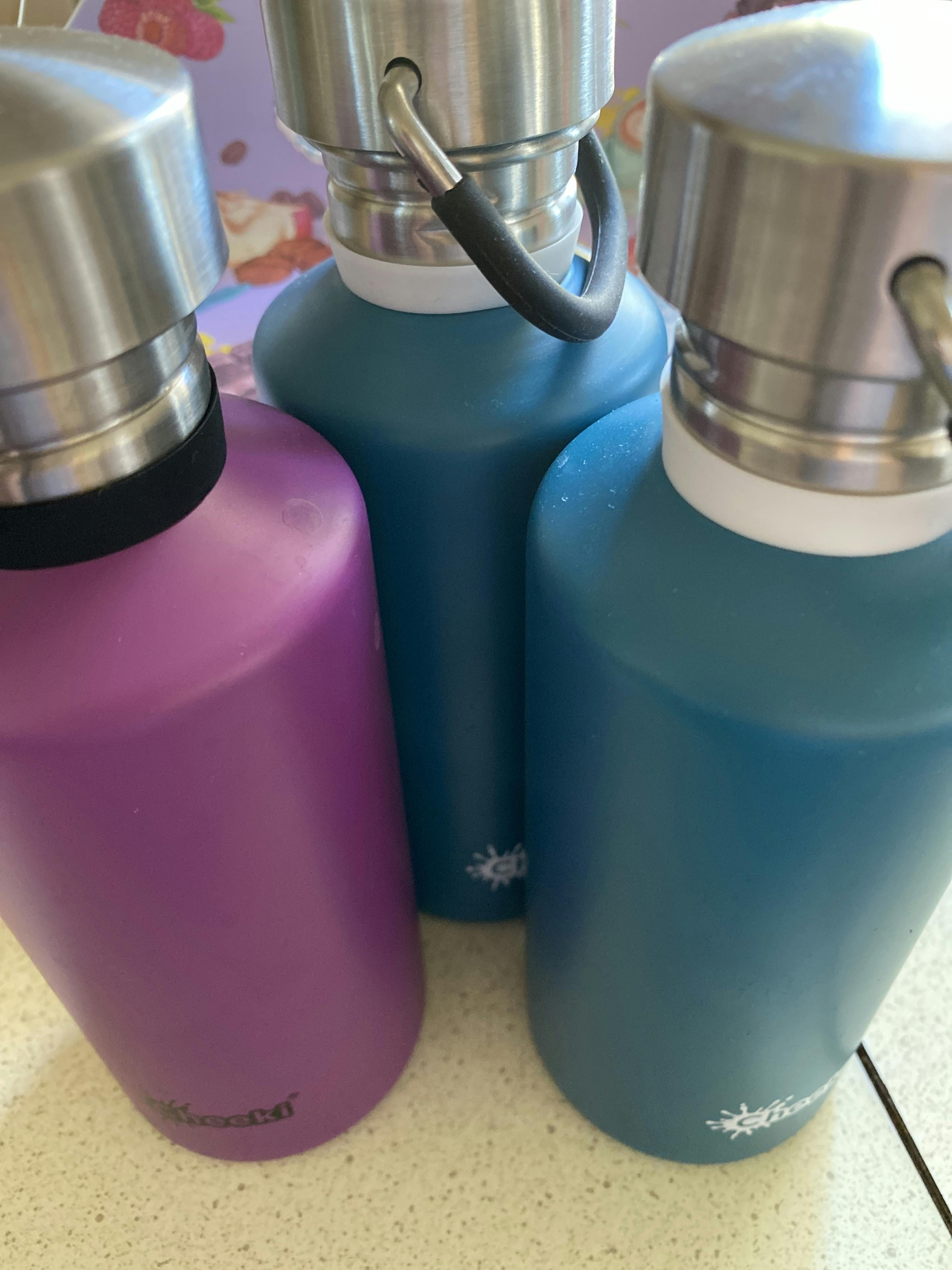 Pistachio 600ml Cheeki Insulated Stainless Steel Bottle