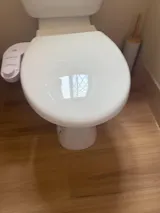 Cheeky Clean Signature Bidet