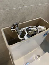 Cheeky Clean Signature Bidet