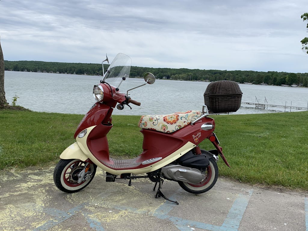 Vespa Sprint / Primavera Ecru with Flowers and Vines SEAT COVER Beat