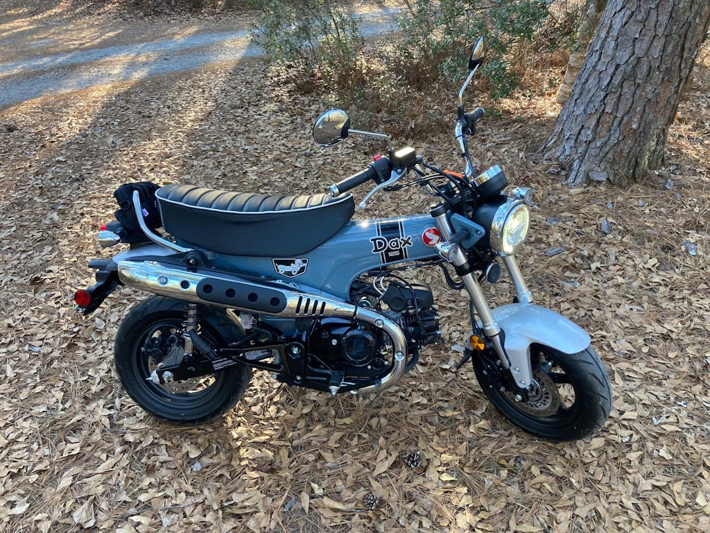 Honda DAX 125 Seat Cover 2024 - 2025 Tuck and Roll