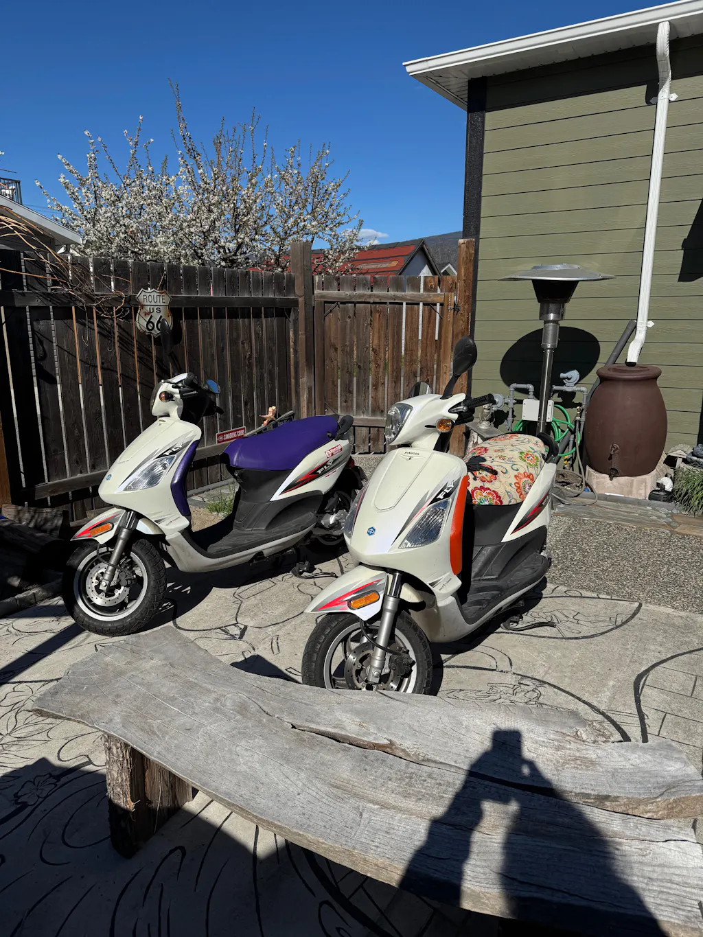 Cheeky Seats Scooter Seat Covers