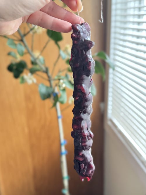 Assorted Walnut Chella Churchkhela