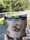 Chella FruityNuts Premium Pack