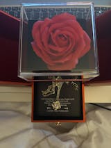 25 anni di nozze d'argento anniversario Everlasting Forever Rose con -  UK-englishpewter