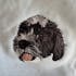 Custom Pet Portrait Embroidered Sweatshirt/Hoodie/T-shirt