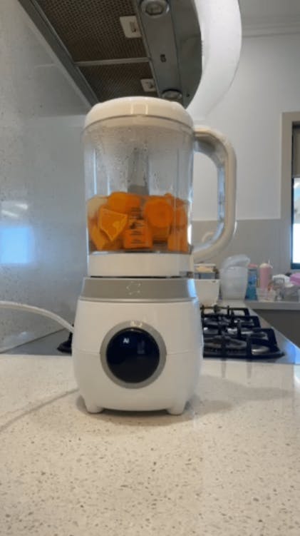 Cherub baby food store processor