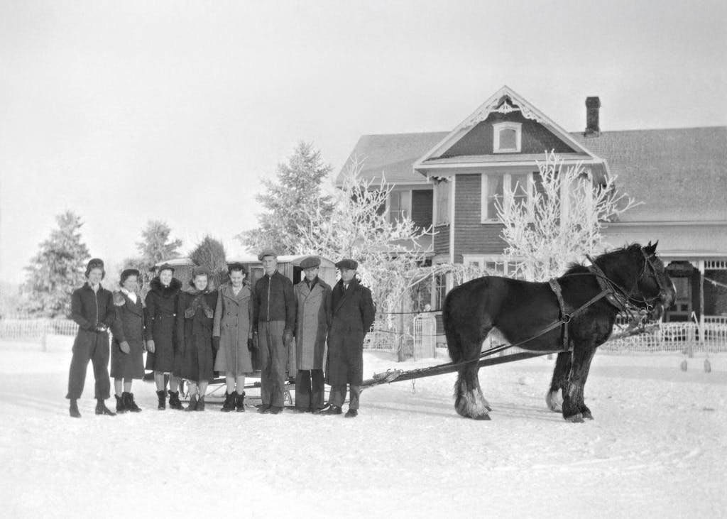 Image Restoration Service