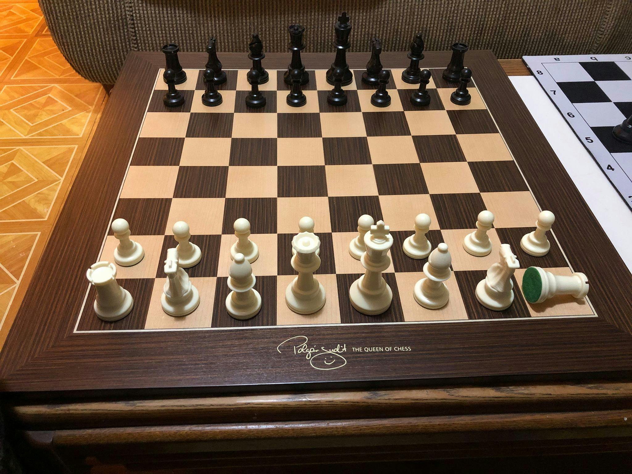 Judit Polgar: ''The infinite possibilities of a chessboard