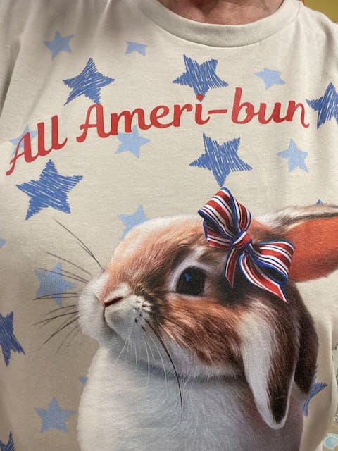 All Ameri-bun Unisex T-Shirt