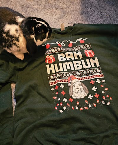 Bah Humbun Unisex Sweatshirt