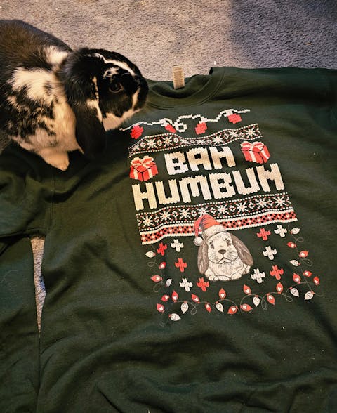 Bah Humbun Unisex Sweatshirt