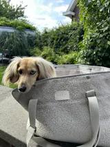 Draagtas Hond - Cuddly Cloud