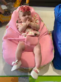 Flamingo Baby Bean Bag