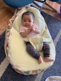 Snuggle Pod Toddler Seats