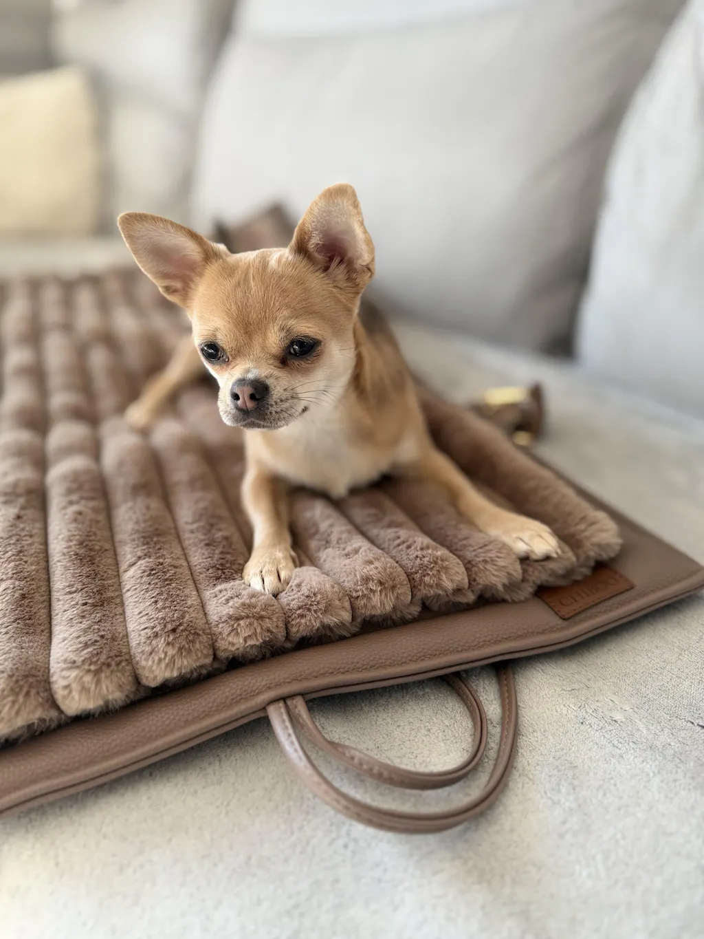 Mata podróżna dla psa Lilan - Latte