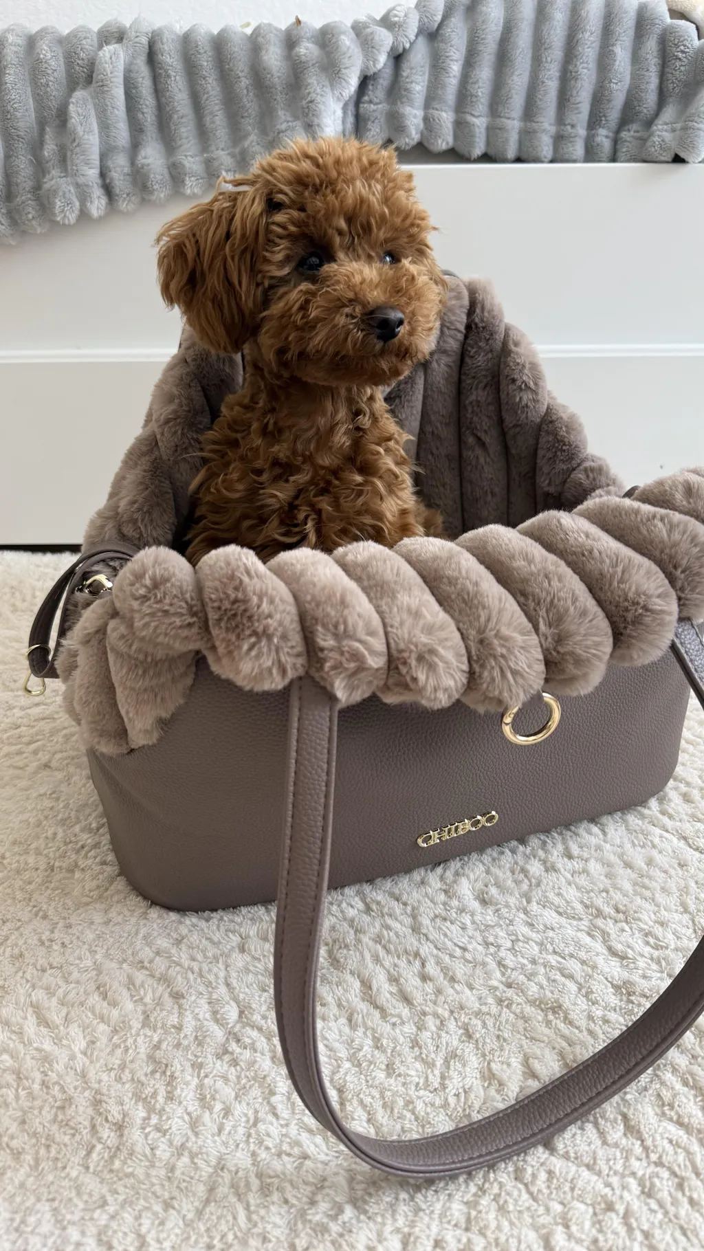 Torba podróżna dla psa Chiboo Lilan - Vanilla