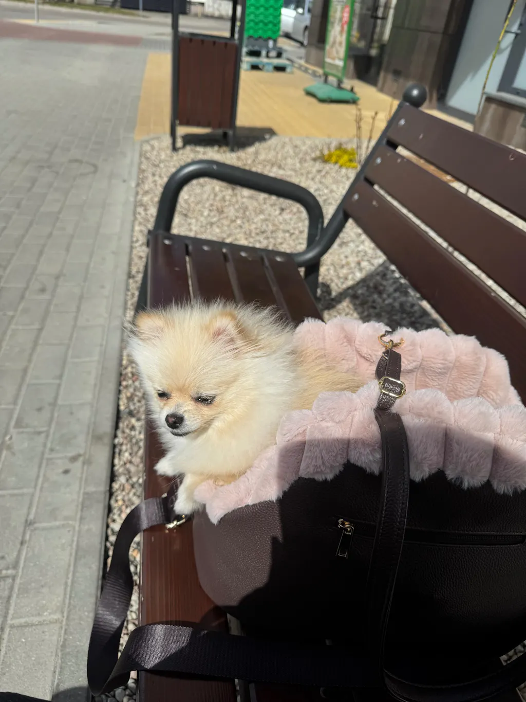 Torba podróżna dla psa Chiboo Lilan - Rosé