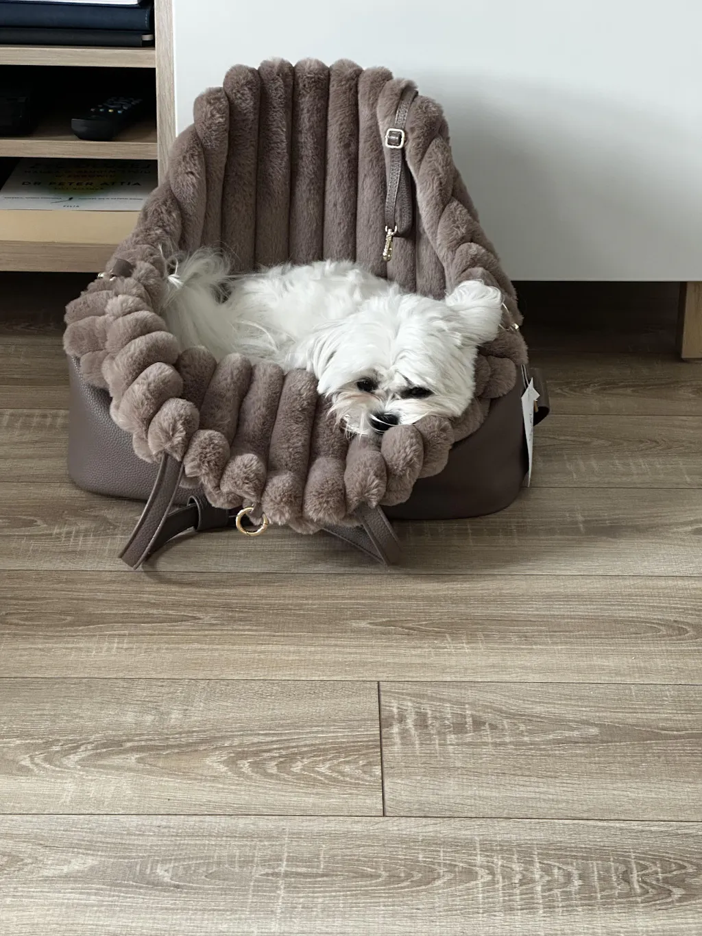 Torba podróżna dla psa Chiboo Lilan - Latte