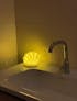 Ocean Shell Mood Lamp