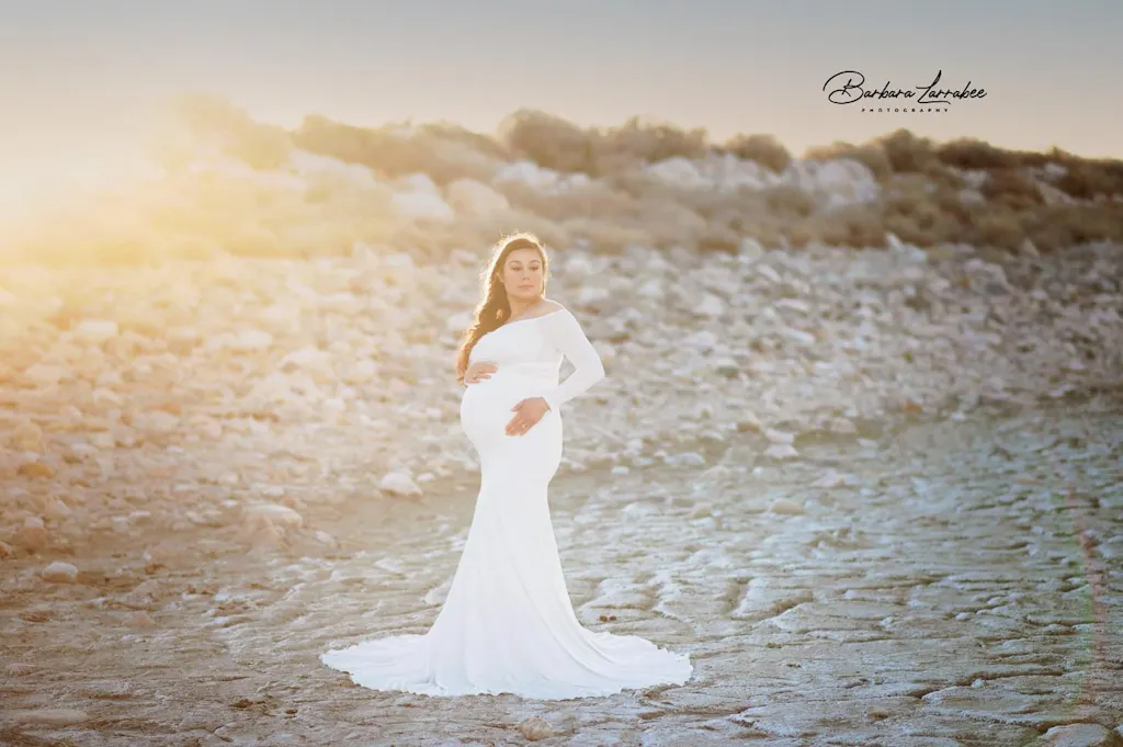 The Serena Maternity Dress