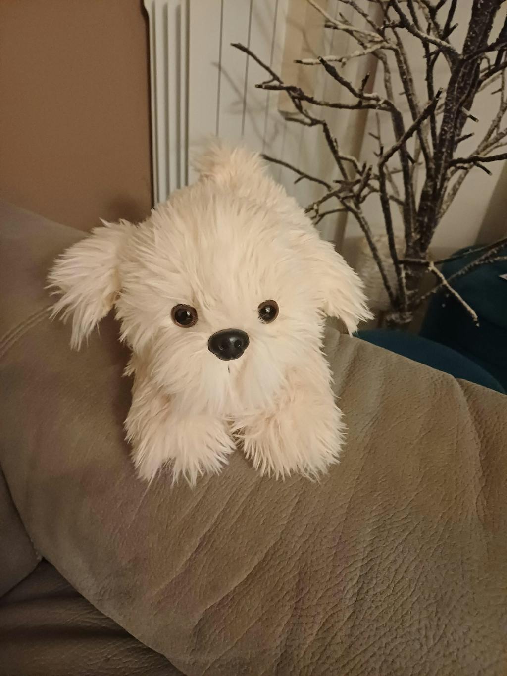 Peluche Chico