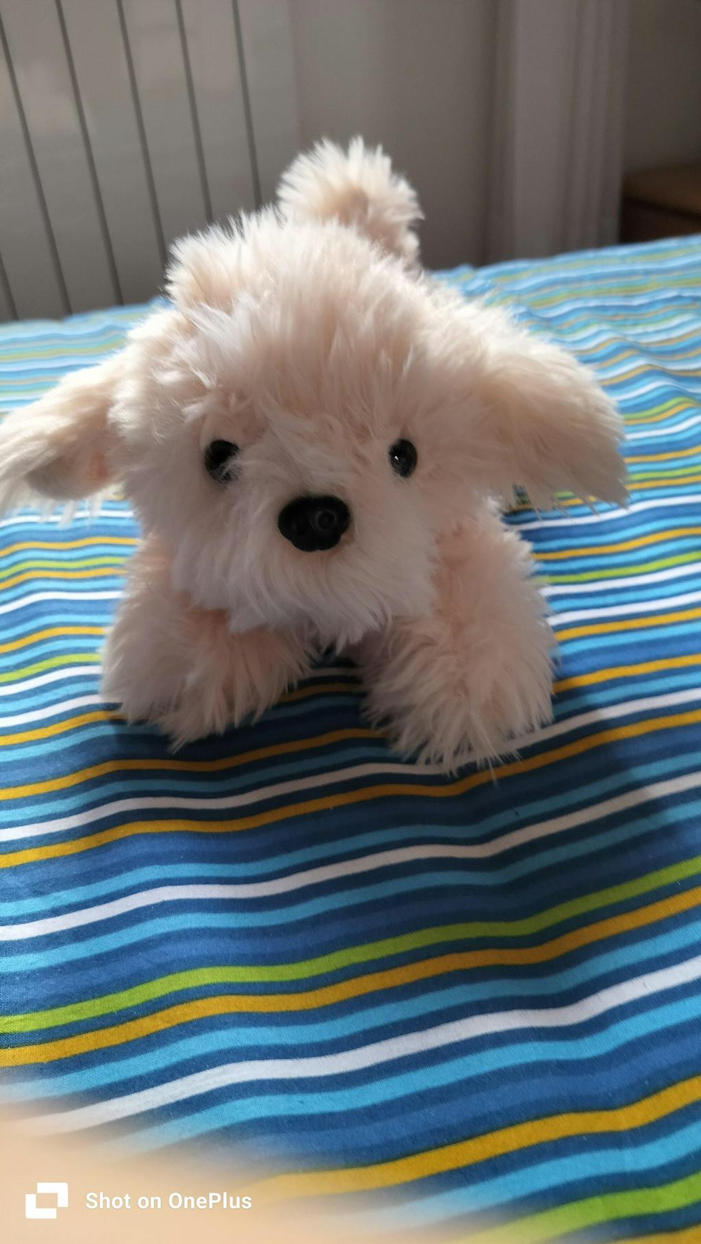 Peluche Chico