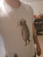 Zen Sumi-e Dog Tee – SilentSmokes 420