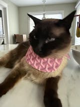 Grrryard Pink Pet Bandana (reversible 4-way wear)