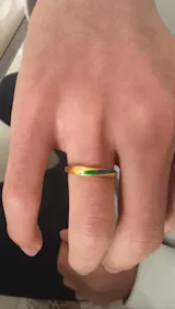 A Grand Panorama of Rivers and Mountains Series 24K Gold Enamel Mobius Couple Rings