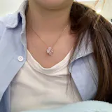 Gold Plated Silver Zircon Transformable Clover Necklace