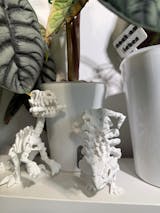 Ankylosaurus Skelett