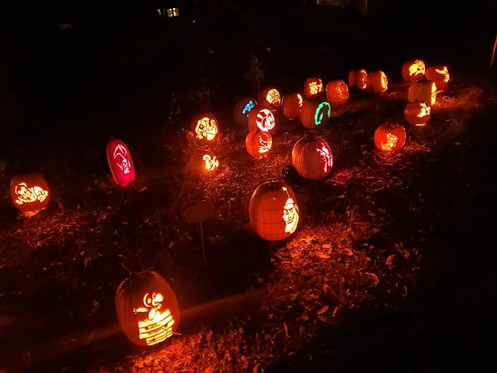 Universal Light Stake 25 Count Package Christmas Light Source