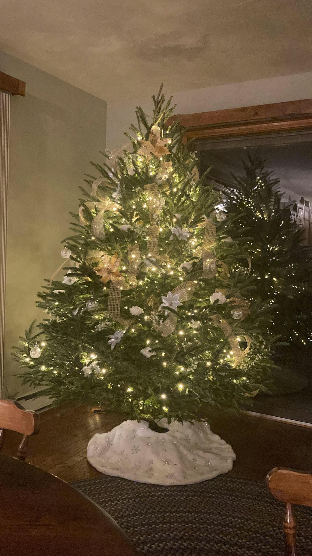 Real Christmas Trees Delivered 7 Foot Premium Fraser Fir Christmas