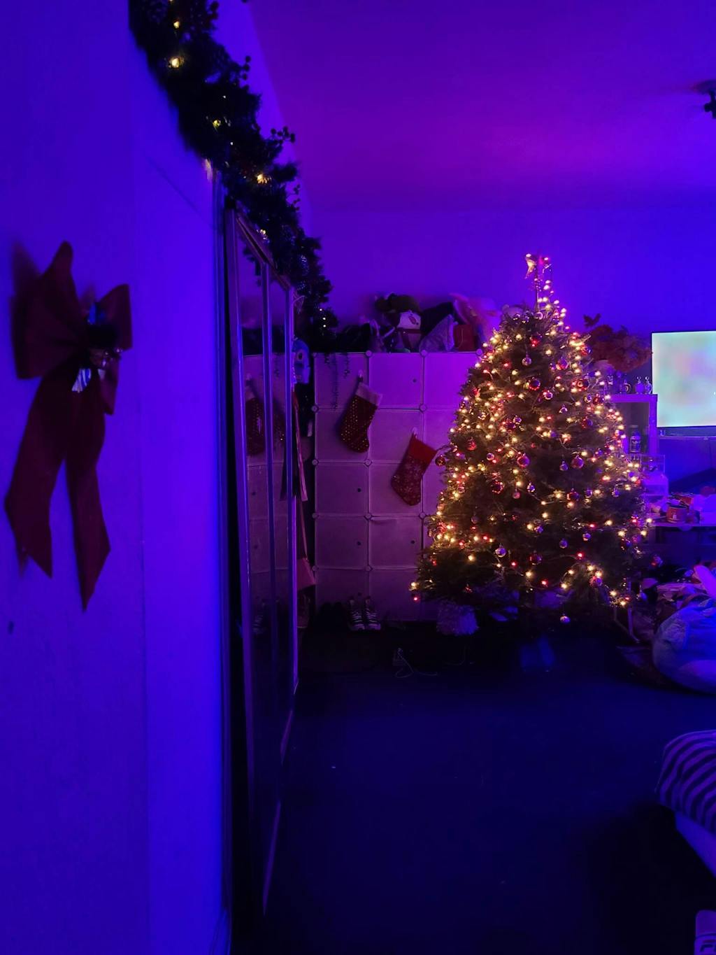 Real Christmas Trees Delivered 7 Foot Premium Fraser Fir Christmas