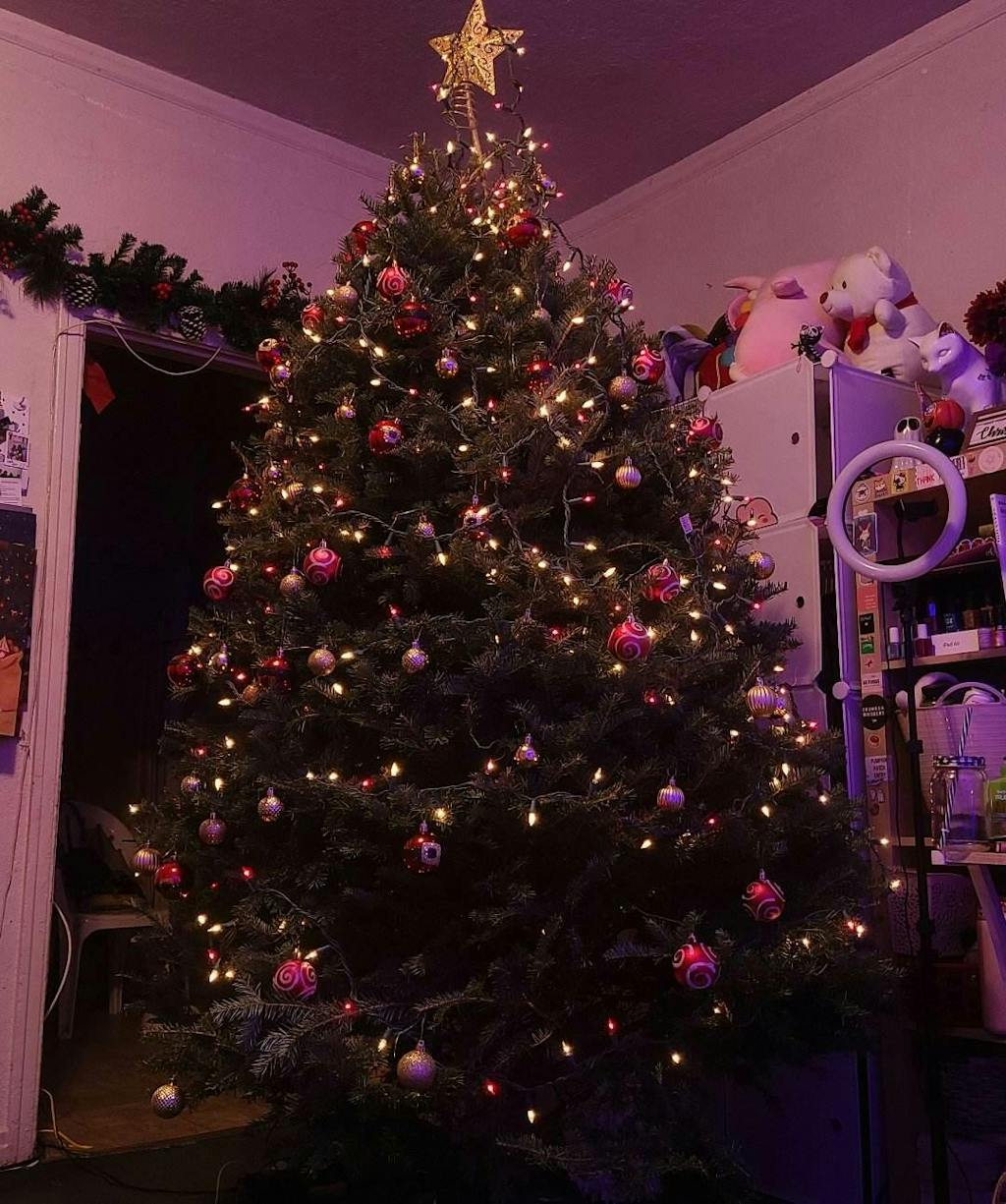 Real Christmas Trees Delivered 7 Foot Premium Fraser Fir Christmas