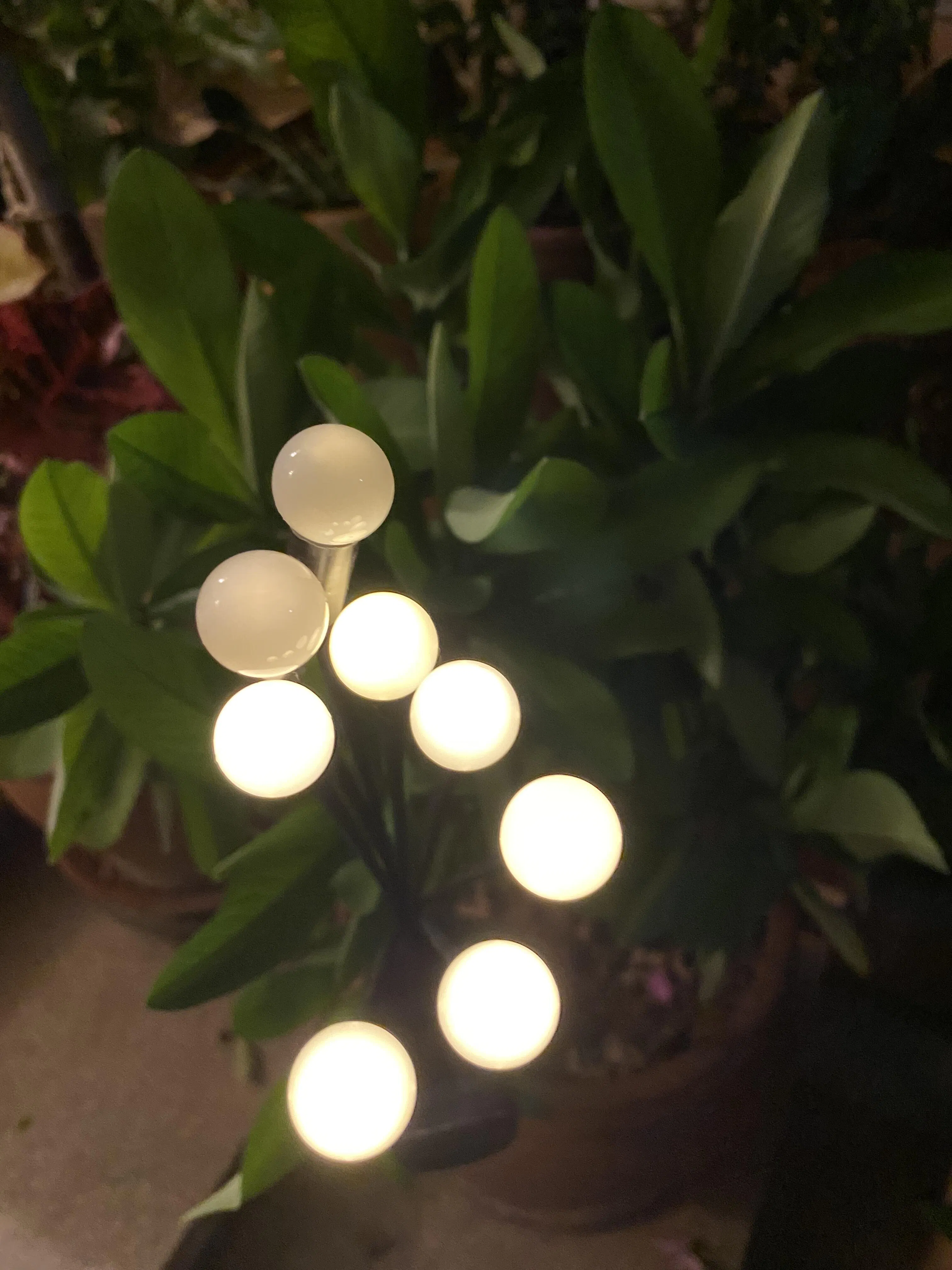 Custom Neon Sign Light - Illuminate Your Ideas with Personalized Glow ...