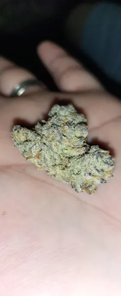 Review picture