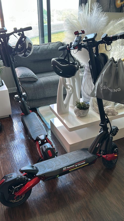 Raptor Motor Off-Road Electric Scooter