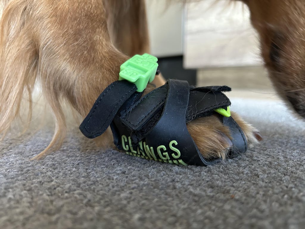 Aesthetically Challenged Clawgs V3