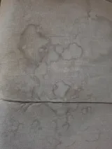 Imagen de usuario
