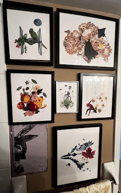 Blossom Series - Toronto Blue Jays