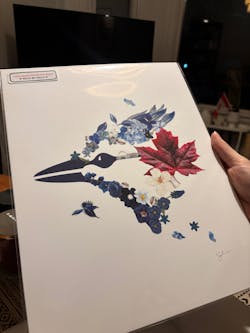 Blossom Series - Toronto Blue Jays