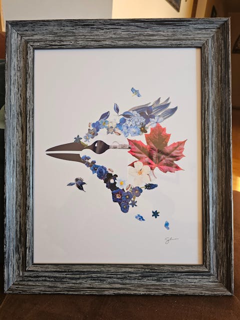 Blossom Series - Toronto Blue Jays (Exclusive)