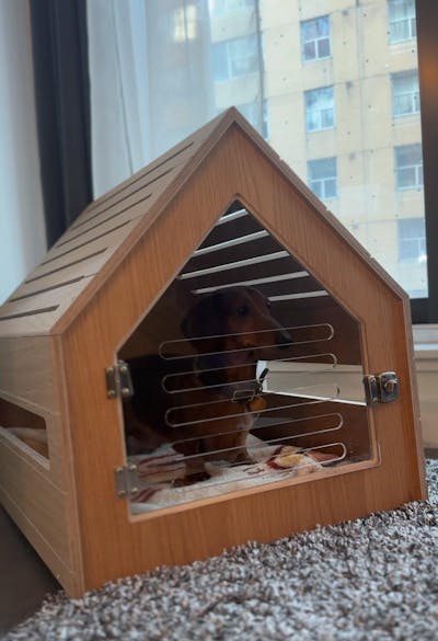 The Den: Modern Wooden Dog Crate