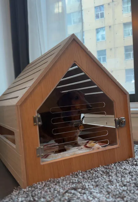 The Den: Modern Wooden Dog Crate