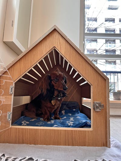 The Den: Modern Wooden Dog Crate