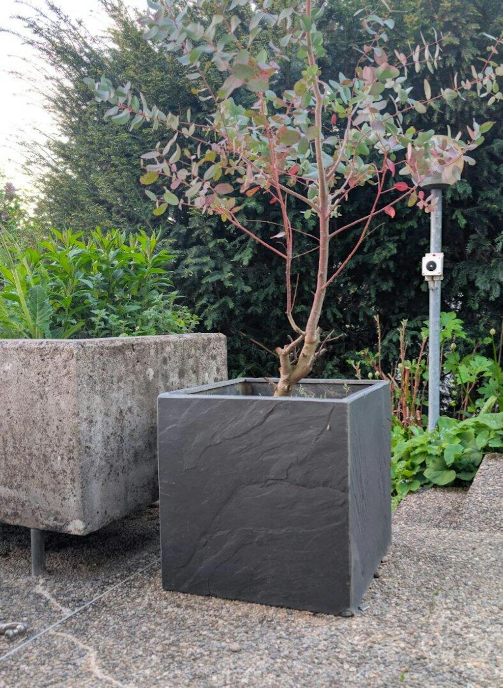 CUBI 40 Anthrazit – Pflanzgefäss Eckig 40x40x40 cm Schiefer Schwarz