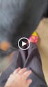 Pink Banana Socks