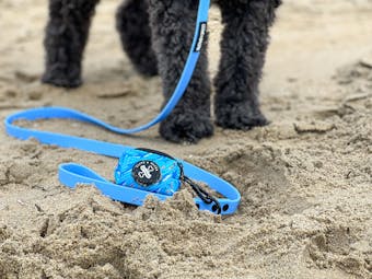 Periwinkle Waterproof Dog Leash